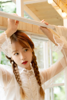 完美的妻子